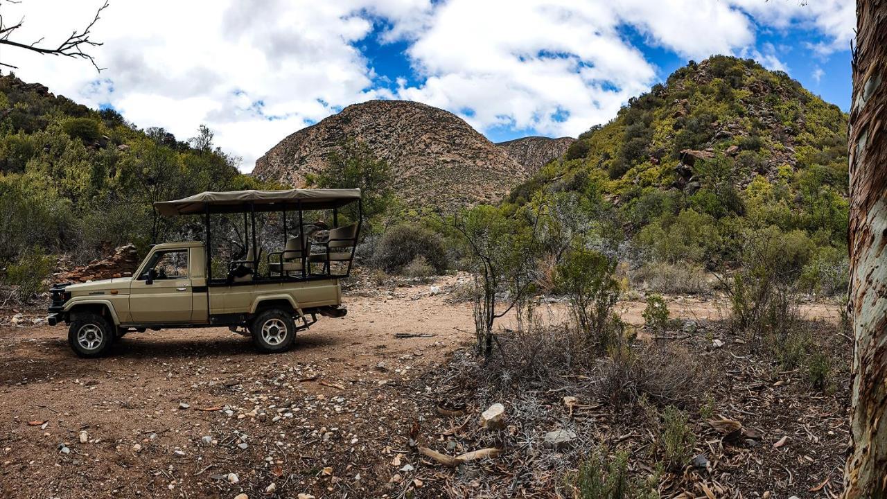 Rooiberg Wild Private Game Reserve ลาดิสมิธ ภายนอก รูปภาพ